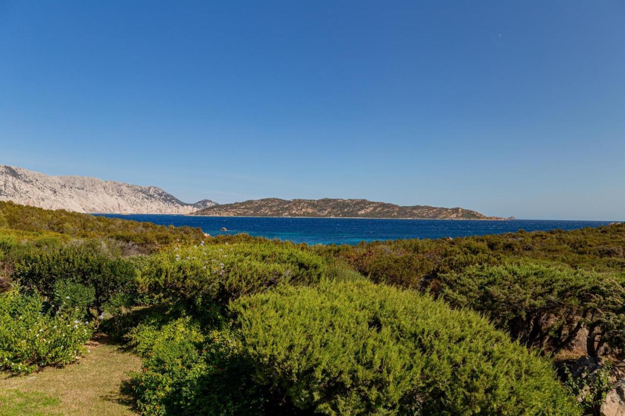Appartamento Cala Paradiso San Teodoro  Exteriör bild